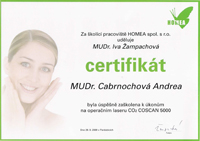 Certifikt CO2 laser COSCAN 5000
